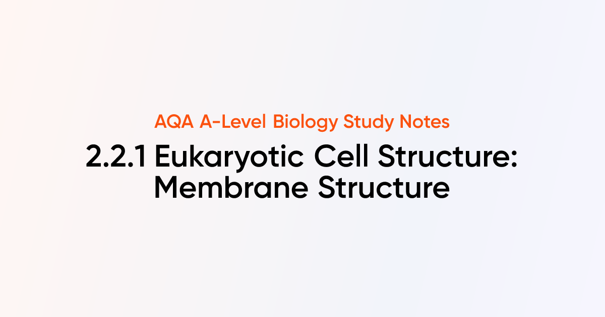 Eukaryotic Cell Structure: Membrane Structure (2.2.1) | AQA A-Level ...