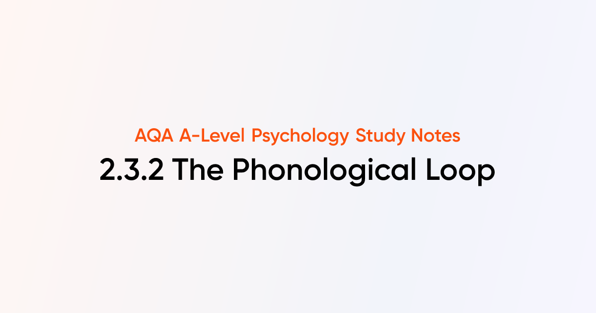 The Phonological Loop (2.3.2) | AQA A-Level Psychology Notes | TutorChase