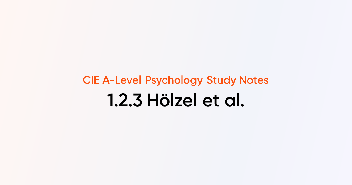 Hölzel et al. (1.2.3) | CIE A-Level Psychology Notes | TutorChase