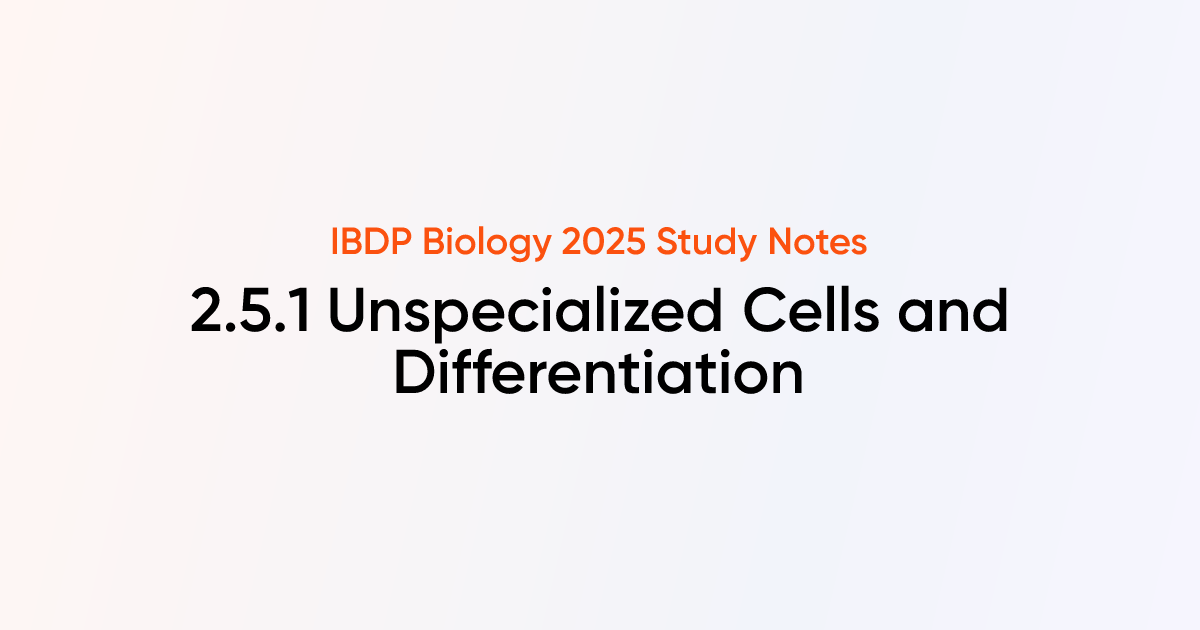 Unspecialized Cells and Differentiation (2.5.1) IB DP Biology HL 2025