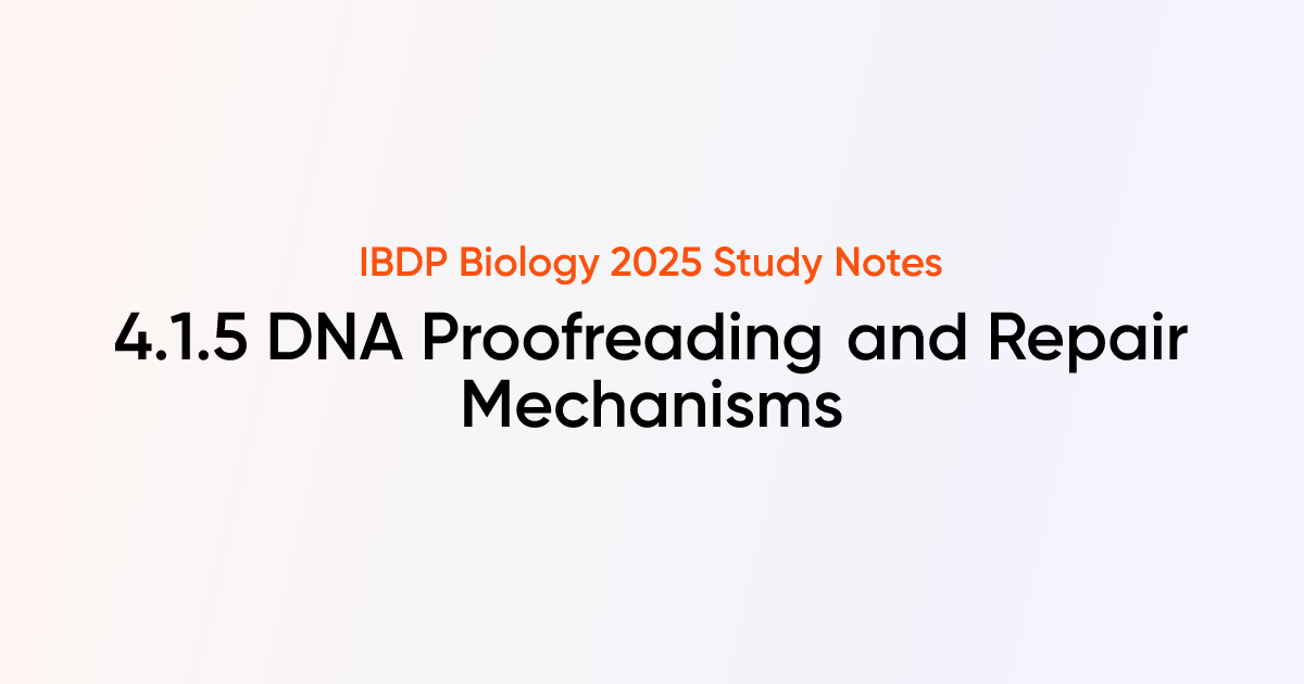 DNA Proofreading and Repair Mechanisms (4.1.5) | IB DP Biology HL 2025 ...